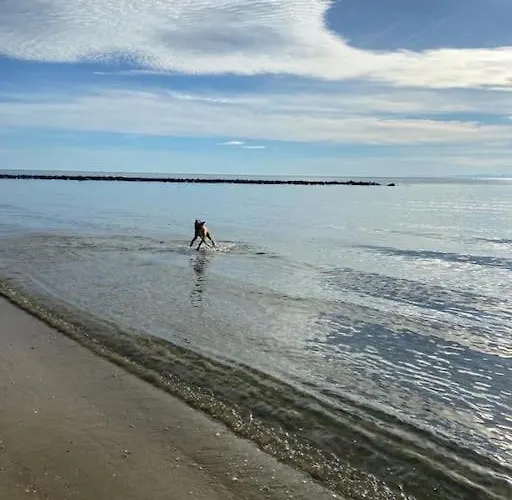Les Pieds Dans L'eau * Marseillan (Herault)