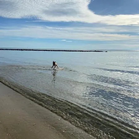 Les Pieds Dans L'eau * Marseillan (Herault)